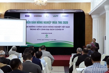 Rà soát, định hướng chính sách cho nông nghiệp hậu Covid-19