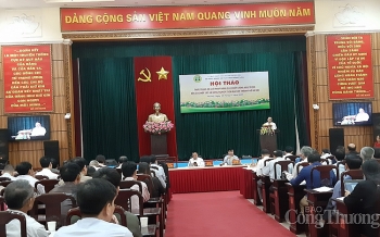 Hà Nội: Vẫn còn 261 hợp tác xã hoạt động trung bình, yếu