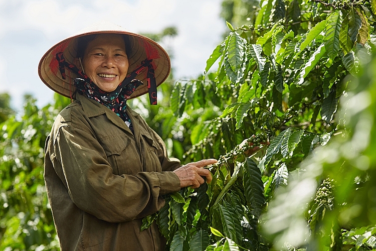 4321-3-nestle-yao-tyo-yyi-ngy-ny-tryyng-nhom-nong-dan-tryng-ca-phe-cya-dy-an-nescafe-plan-yong-gop-can-byng-giyi-va-nang-cao-quyyn-nyng-phy-ny