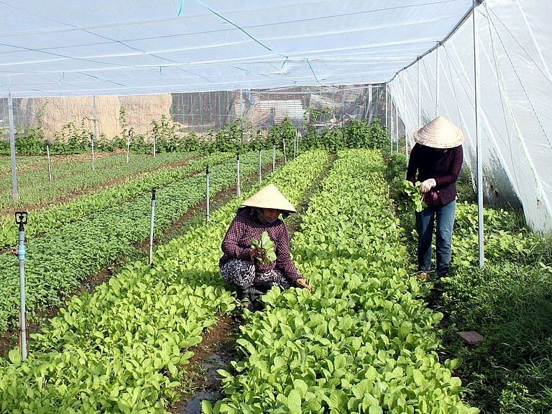 Hà Nội: Hơn 2.144 tỷ đồng cho phát triển kinh tế xã họi vùng đồng bào dân tộc thiểu số và miền núi giai đoạn 2021-2025 Hà Nội: Hơn 2.144 tỷ đồng cho phát triển kinh tế xã họi vùng đồng bào dân tộc thiểu số và miền núi giai đoạn 2021-2025