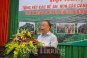 Hiệu quả từ các đề án hoa cây cảnh, cây ăn quả và sản xuất tiêu thụ chè