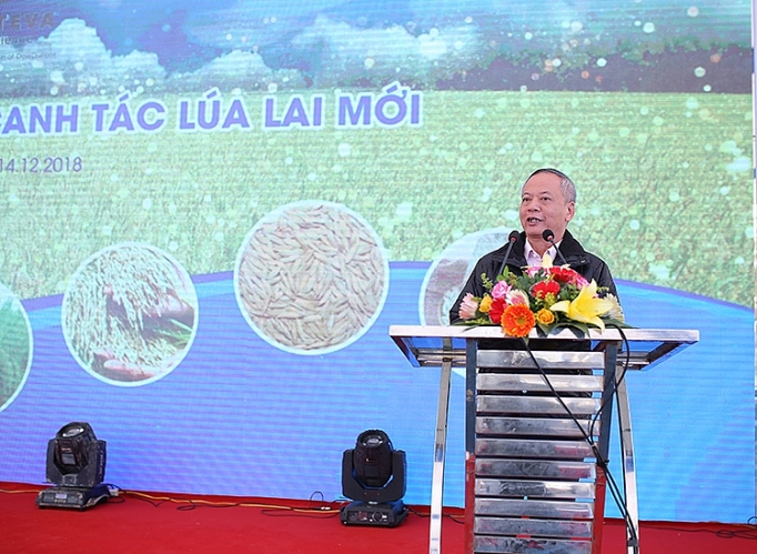 Corteva Agriscience lần đầu ra mắt Mô hình canh tác lúa lai mới corteva agriscience lan dau ra mat mo hinh canh tac lua lai moi