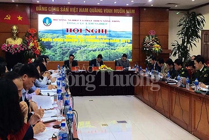 Xuất khẩu lâm sản năm 2018 đạt hơn 9,3 tỷ USD xuat khau lam san nam 2018 dat hon 93 ty usd