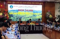 Xuất khẩu lâm sản năm 2018 đạt hơn 9,3 tỷ USD