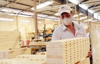 11 tháng năm 2019: Xuất khẩu gỗ và sản phẩm gỗ đạt 9,45 tỷ USD