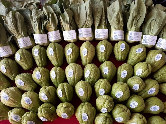 khai mac tuan le nong san dac san va san pham ocop lao cai nam 2019