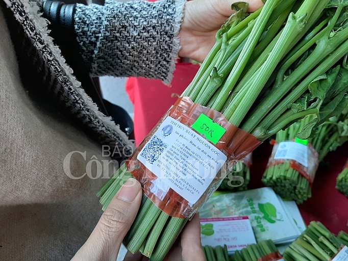 khai mac tuan le nong san dac san va san pham ocop lao cai nam 2019