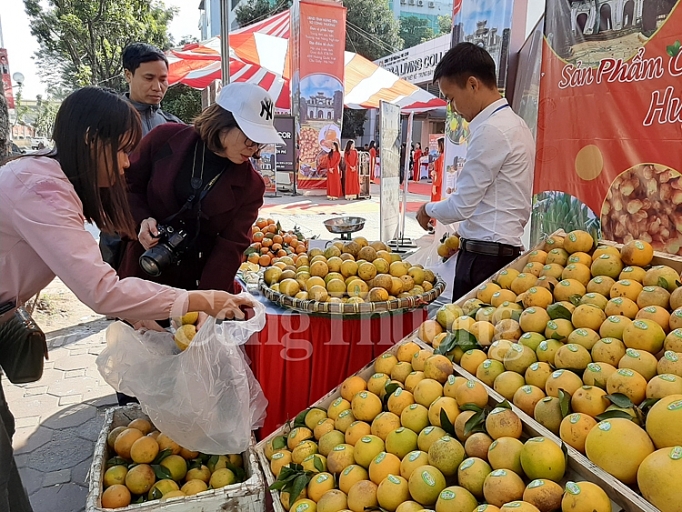 quang ba cam va nong san tinh hung yen den voi nguoi tieu dung thu do