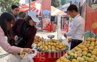Quảng bá cam và nông sản tỉnh Hưng Yên đến với người tiêu dùng Thủ đô