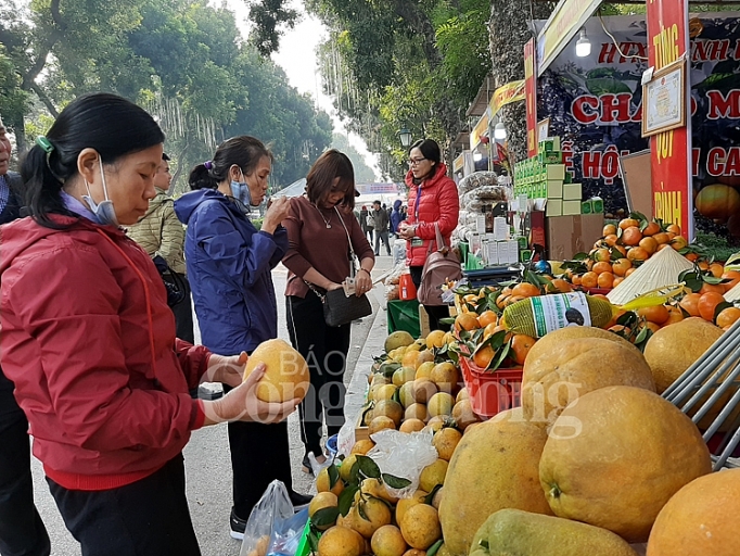 250 gian hàng tham gia Hội chợ Xúc tiến thương mại cho các hợp tác xã năm 2019 250 gian hang tham gia hoi cho xuc tien thuong mai cho cac hop tac xa nam 2019