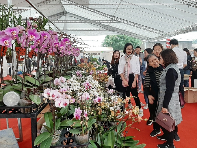 Ngày hội sản phẩm nông nghiệp và làng nghề lần thứ nhất năm 2019 ngay hoi san pham nong nghiep va lang nghe lan thu nhat nam 2019