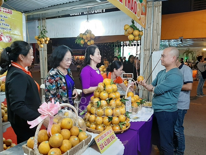 quang ba cam vinh va san pham dac san nghe an den nguoi tieu dung thu do