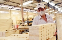 Năm 2020, xuất khẩu gỗ dự kiến đạt 12 tỷ USD