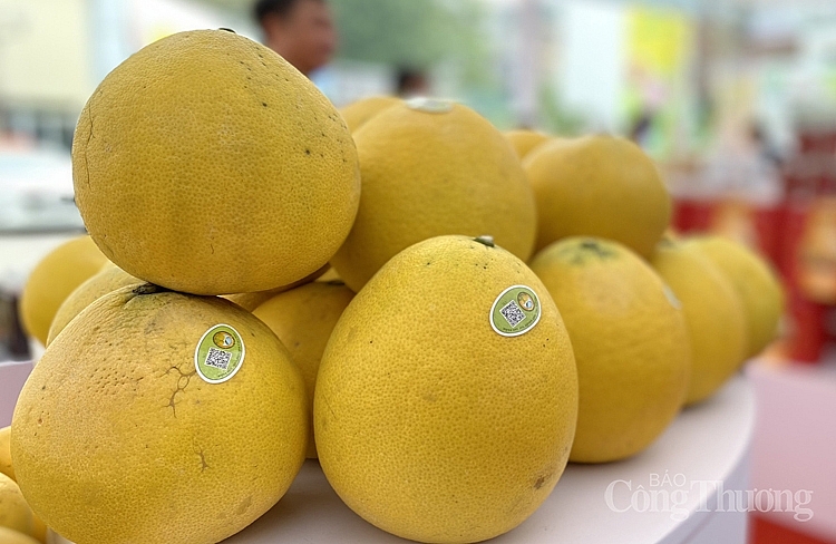 Nông sản, đặc sản các vùng miền hội tụ tại AgroViet 0115-trai-cay-hoi-tu-tai-hoi-cho