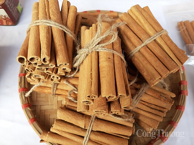 Giới thiệu hàng nông, thủy sản tỉnh Yên Bái đến với người tiêu dùng Thủ đô Giới thiệu hàng nông, thủy sản tỉnh Yên Bái đến với người tiêu dùng Thủ đô