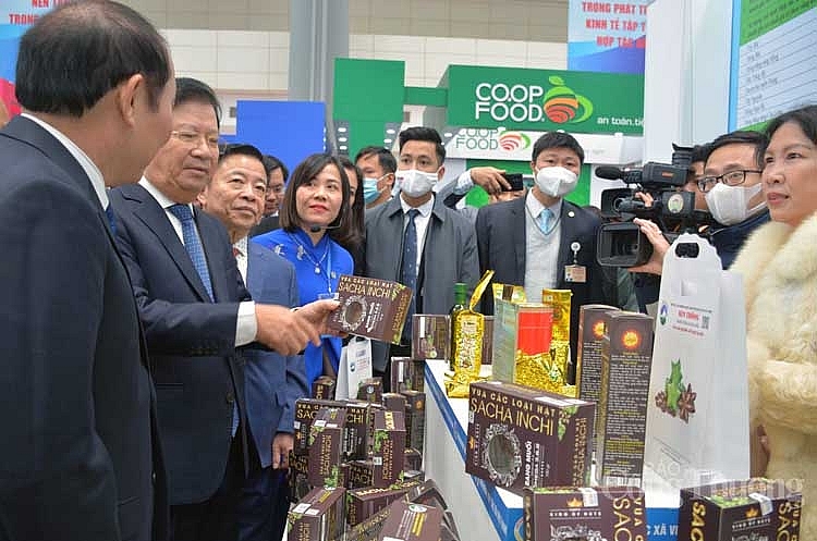 Khai mạc Triển lãm Thành tựu phát triển kinh tế tập thể, HTX