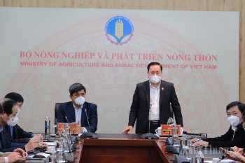 Tháo gỡ ùn tắc nông sản ở cửa khẩu Lạng Sơn: Doanh nghiệp cần tuân thủ phòng chống dịch và điều tiết hàng hoá