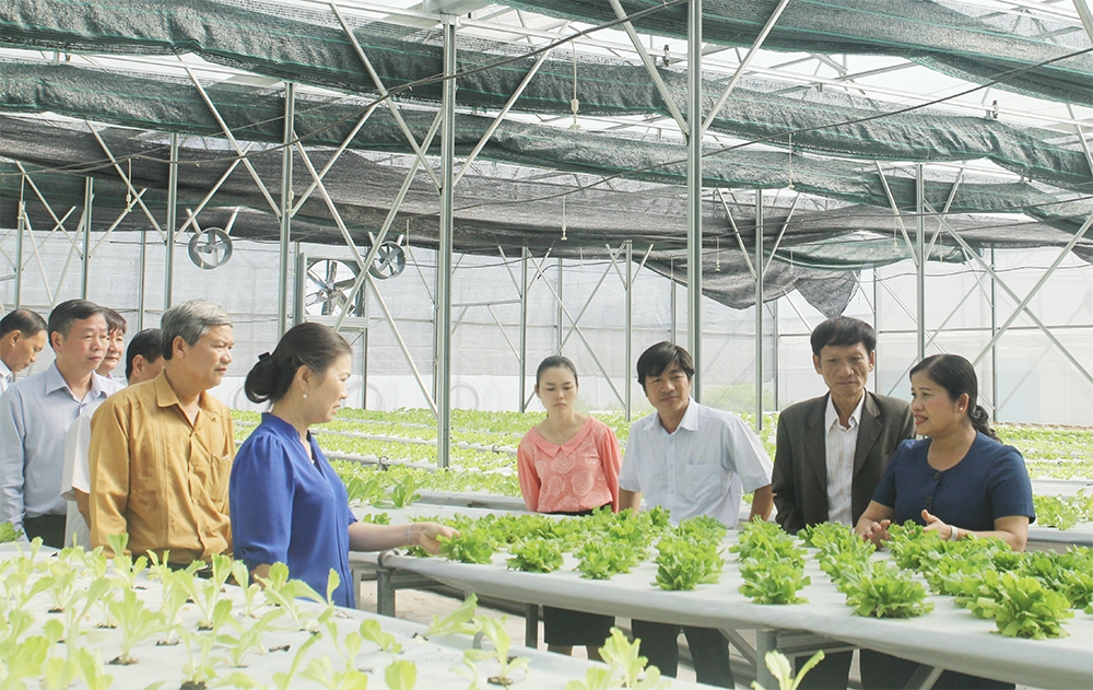 Hiệu quả sau 10 năm thi hành Luật Hợp tác xã Hiệu quả sau 10 năm thi hành Luật Hợp tác xã