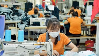 Niềm tin của khu vực doanh nghiệp đang dần được củng cố