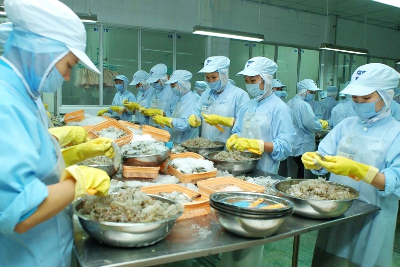 Khai thác lợi thế EVFTA: Cần phân tích kỹ cơ hội và thách thức từ hàng hóa xuất khẩu của Việt Nam