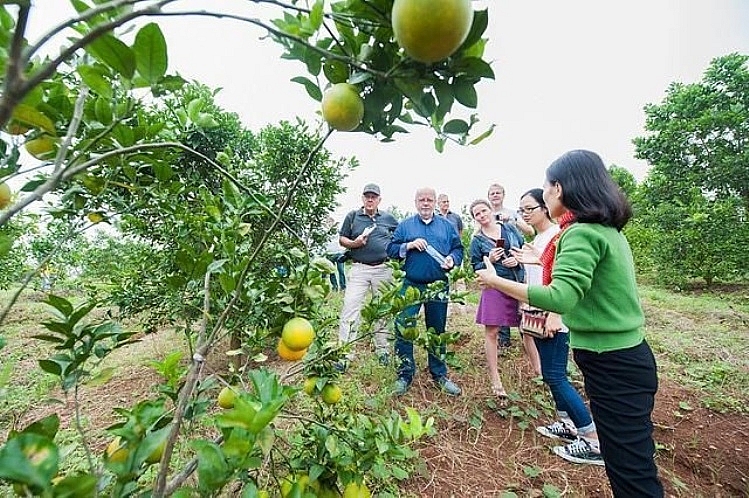 Nêu rõ trách nhiệm của doanh nghiệp xã hội