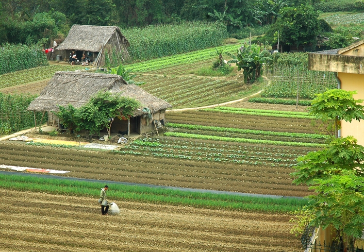 cao bang tang nang luc san xuat nho khuyen cong
