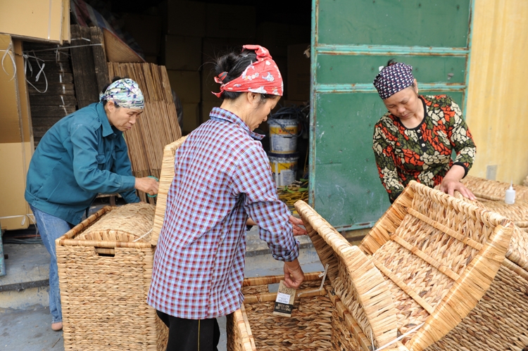 ha noi tro suc cho doanh nghiep tiep can cong nghe moi