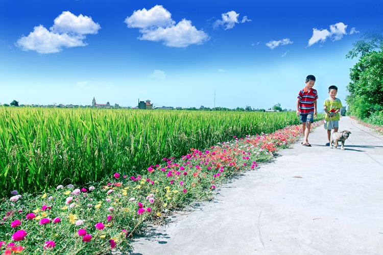 undefined 1209 ynh 11 oko