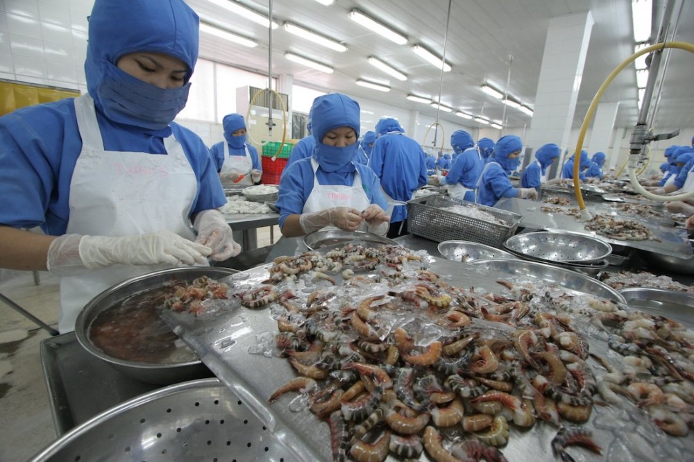 Căn cứ để nâng dự báo tăng trưởng GDP của Việt Nam trong năm 2022? Căn cứ để nâng dự báo tăng trưởng GDP của Việt Nam trong năm 2022?