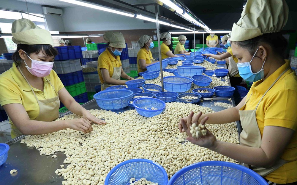 Giải ngân gói hỗ trợ lãi suất 2%: Kỳ 2, Hạ chuẩn vay có thể gây hệ luỵ cho nền kinh tế Giải ngân gói hỗ trợ lãi suất 2%: Kỳ 2, Hạ chuẩn vay có thể gây hệ luỵ cho nền kinh tế