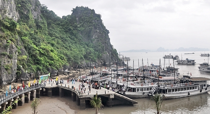 danh thuc nhung giac mo mau xanh