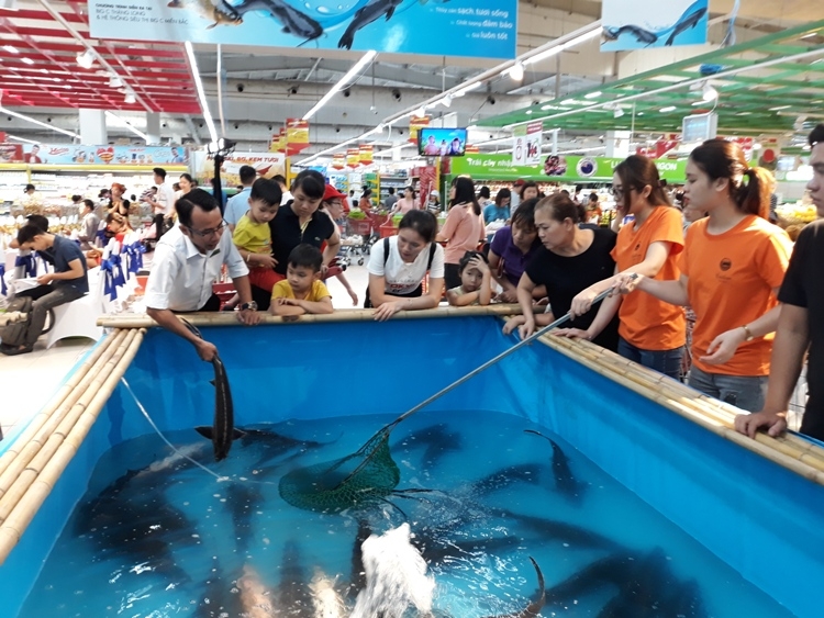 Đưa đặc sản Việt Nam vào chuỗi siêu thị lớn dua dac san viet nam vao chuoi sieu thi lon