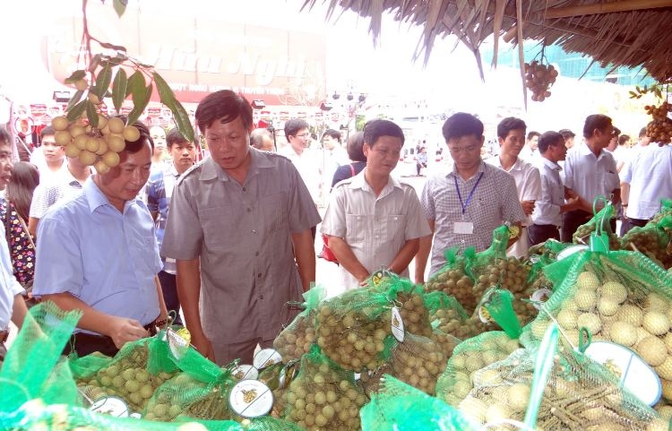 Đưa đặc sản Việt Nam vào chuỗi siêu thị lớn dua dac san viet nam vao chuoi sieu thi lon