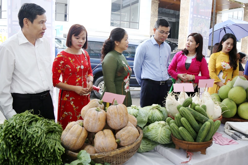 Mục tiêu 45.000 hợp tác xã vào năm 2030, giải pháp nào để hoàn thành? Mục tiêu 45.000 hợp tác xã vào năm 2030, giải pháp nào để hoàn thành?
