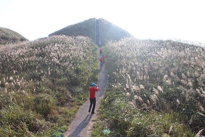 binh lieu suc hut vung bien
