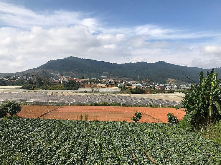 Ứng dụng công nghệ vào sản xuất nông nghiệp Ứng dụng công nghệ vào sản xuất nông nghiệp