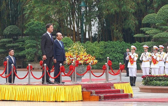viet nam ha lan nhat tri xay dung quan he doi tac toan dien