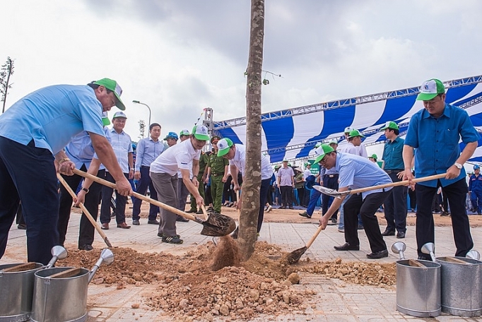 panasonic viet tiep hanh trinh uom van mam xanh