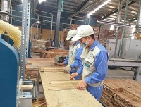 EVFTA và thời cơ “vàng”- Bài 2: Liều thuốc trợ lực cho doanh nghiệp