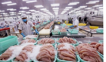 Thương mại Việt Nam - Israel: Khoảng cách nhập siêu dần thu hẹp