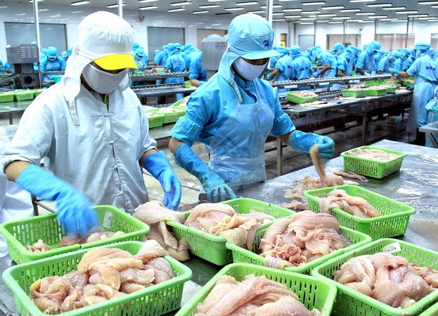 VASEP công bố Sách Trắng về chống khai thác thủy sản bất hợp pháp vasep cong bo sach trang ve chong khai thac thuy san bat hop phap