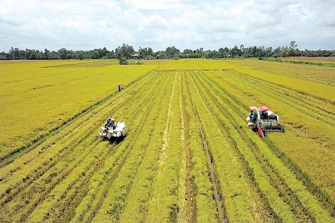 du an better life farming tiem nang canh tac lon cho cac nong ho nho