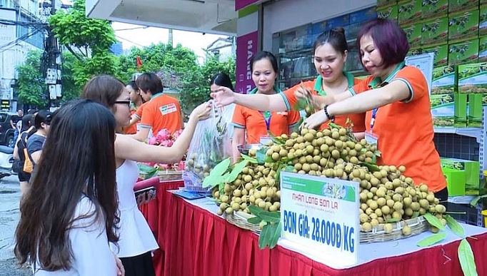 son la 10 nam hang viet chinh phuc nguoi tieu dung