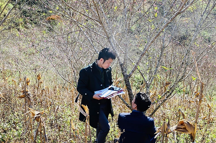 7 huyện Sơn La đề xuất được dán tem truy xuất cho đào trồng 7 huyện Sơn La đề xuất được dán tem truy xuất cho đào trồng