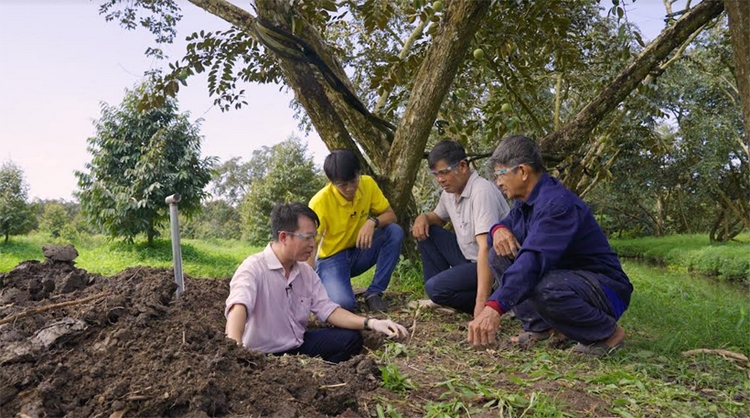 Phân Bón Cà Mau: Chủ động nguồn cung đa dạng cho vụ Đông Xuân 2021-2022
