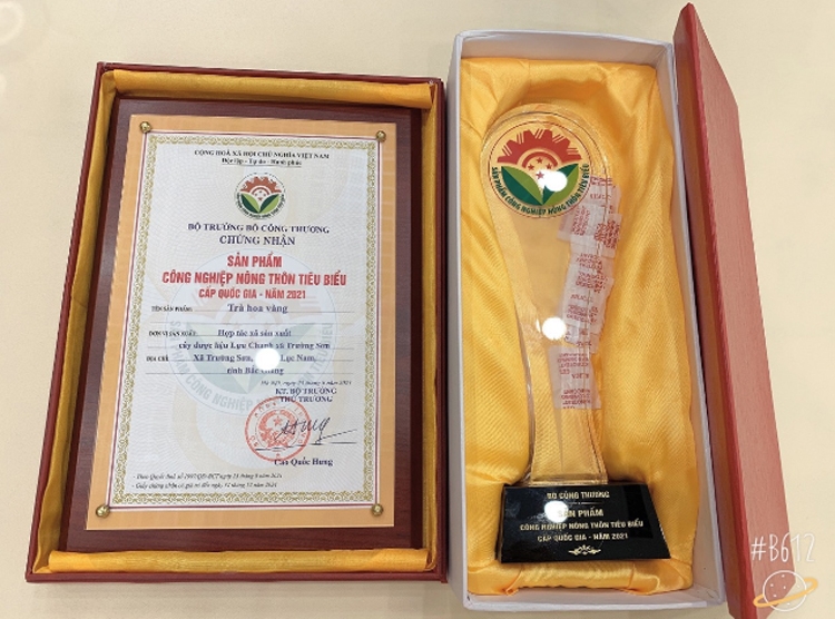 Trà Hoa vàng ngát hương Tây Yên Tử