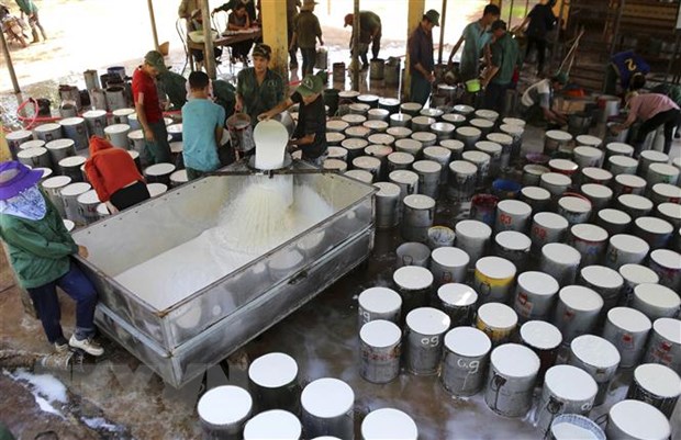 Xuất khẩu trên 3 tỷ USD, triển vọng sáng cho ngành cao su năm 2022 hình ảnh 2 Xuat khau tren 3 ty USD, trien vong sang cho nganh cao su nam 2022 hinh anh 2