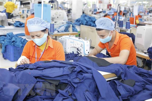 Sua doi huong dan dau thau mua sam theo Hiep dinh CPTPP hinh anh 1