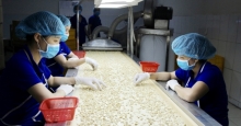 Xuất khẩu điều sang EU năm 2022 nhắm mục tiêu 900 triệu USD