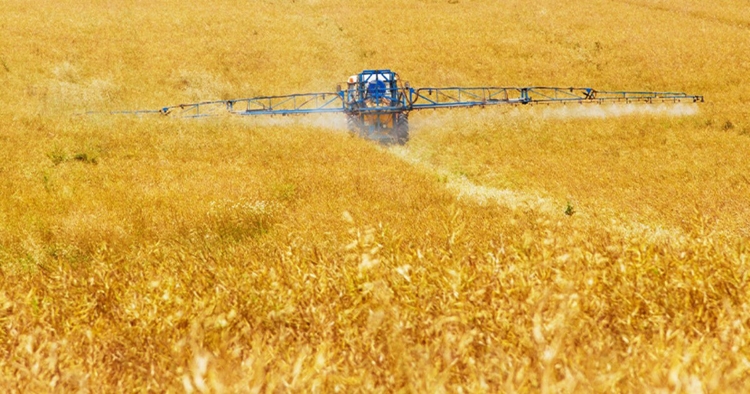 Khủng hoảng phân bón toàn cầu đẩy giá lương thực lên cao Khủng hoảng phân bón toàn cầu đẩy giá lương thực lên cao